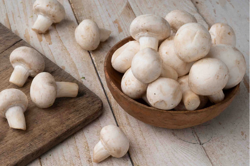 Top 5 Types of Organic Mushroom Products for Boosting Immunity